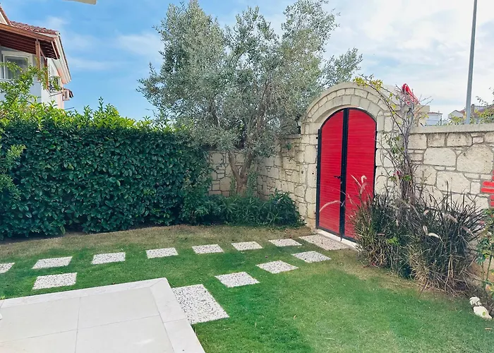 Evalacati-villa Palma-netflix Joy