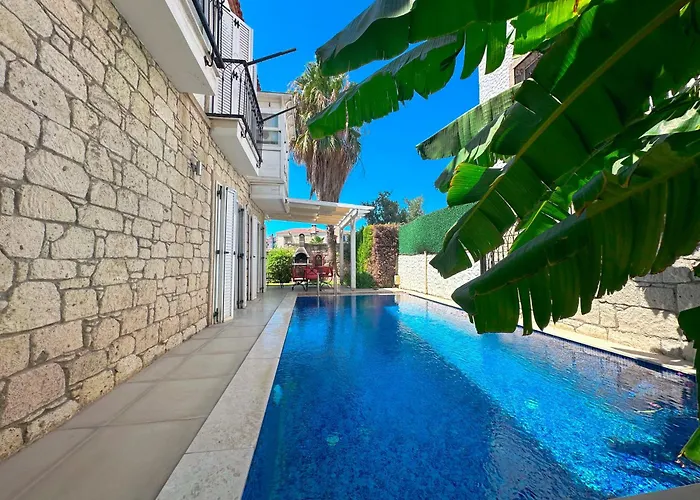 Evalacati-villa Palma-netflix Joy 别墅